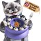 Puzzle Feeder Toy for Cats Interactive IQ Slow Feed Bowl for Healthy Weight